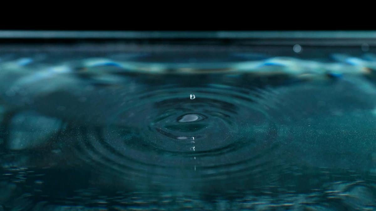 Close-up of a ripple effect created by a single water drop on a calm surface.
