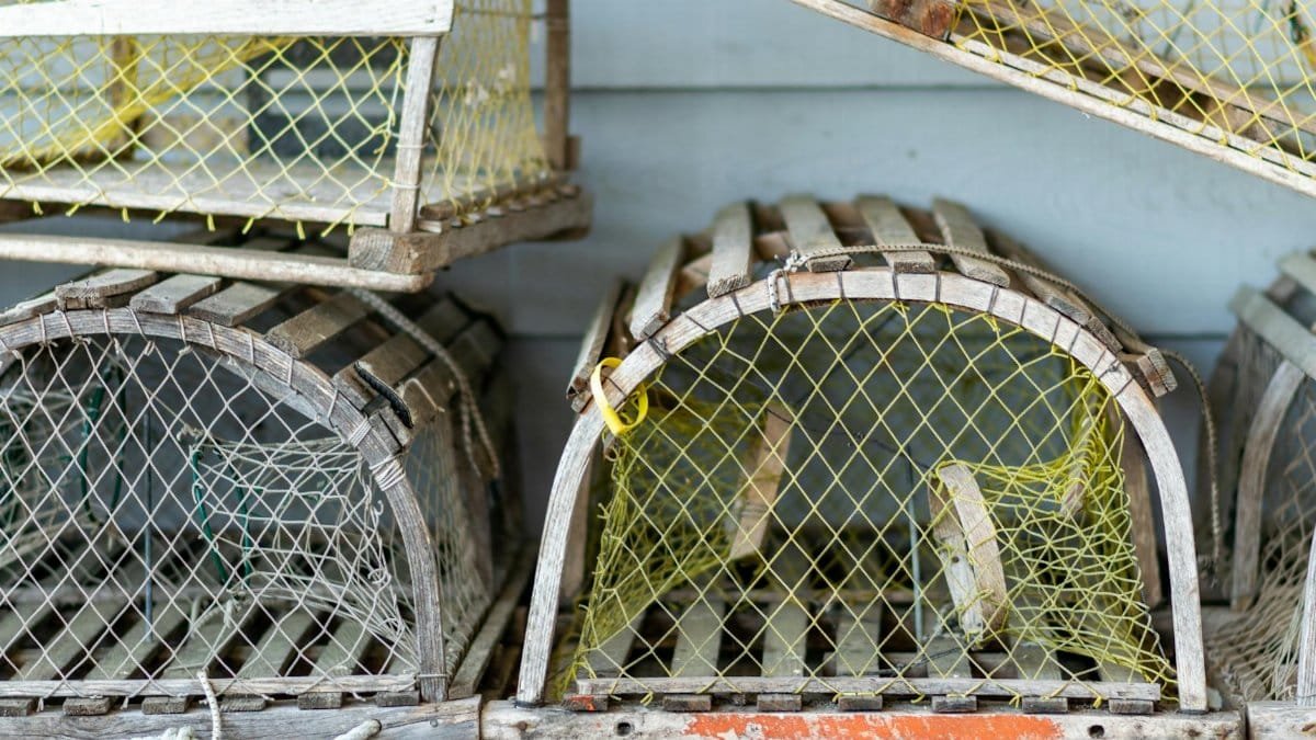 Stacked wooden crab traps with yellow netting, highlighting traditional fishing equipment.