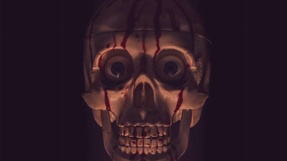 A spooky skull with blood drips, perfect for Halloween or horror themes.