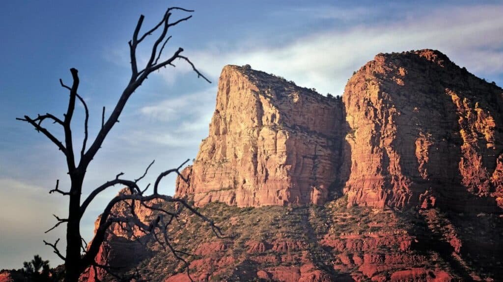 Scenic view of Sedona's towering red rock formations and silhouetted tree at sunset.