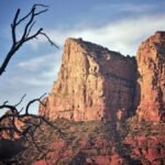 Scenic view of Sedona's towering red rock formations and silhouetted tree at sunset.