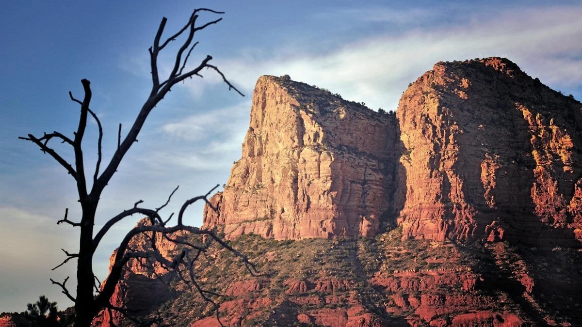 Scenic view of Sedona's towering red rock formations and silhouetted tree at sunset.