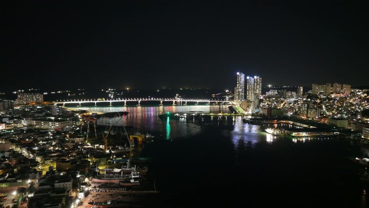 Stunning night view of Busan's illuminated skyline and bridge reflecting on the water.