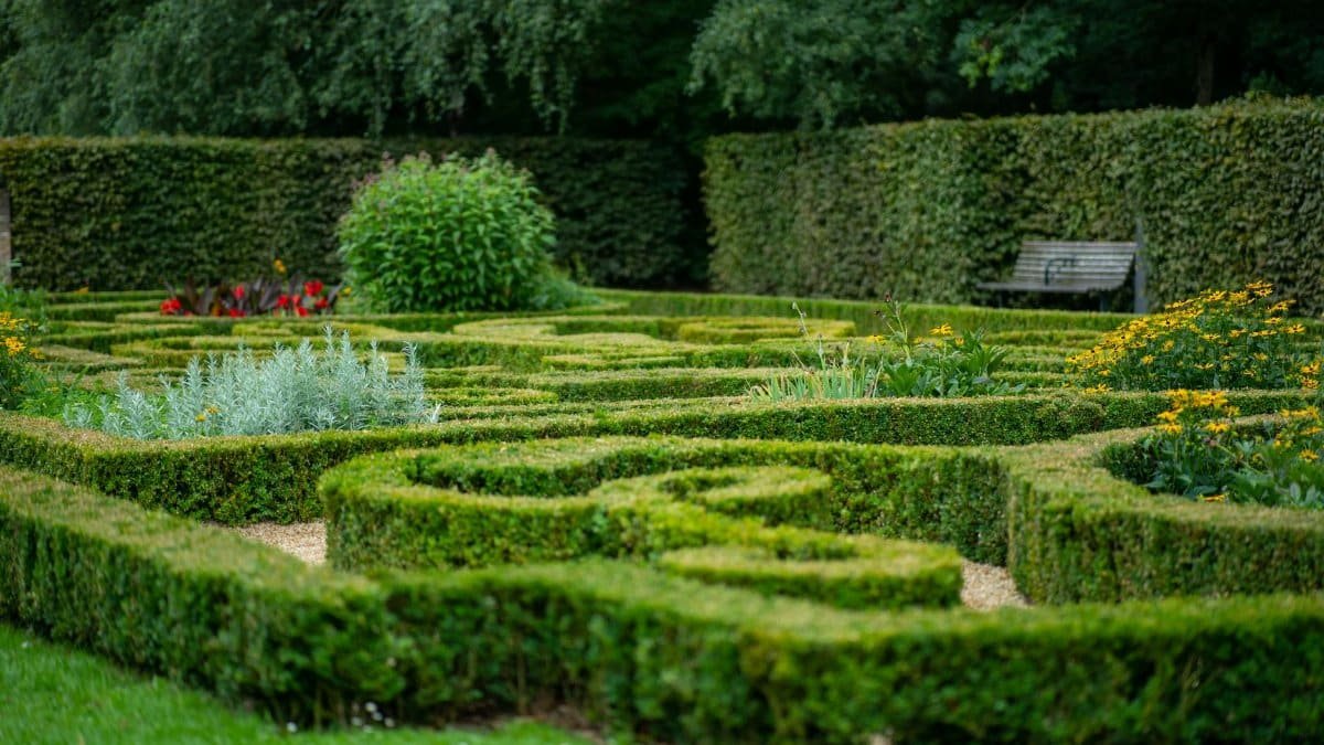 Explore a stunning hedge maze in a serene garden park, perfect for nature walks and relaxation.