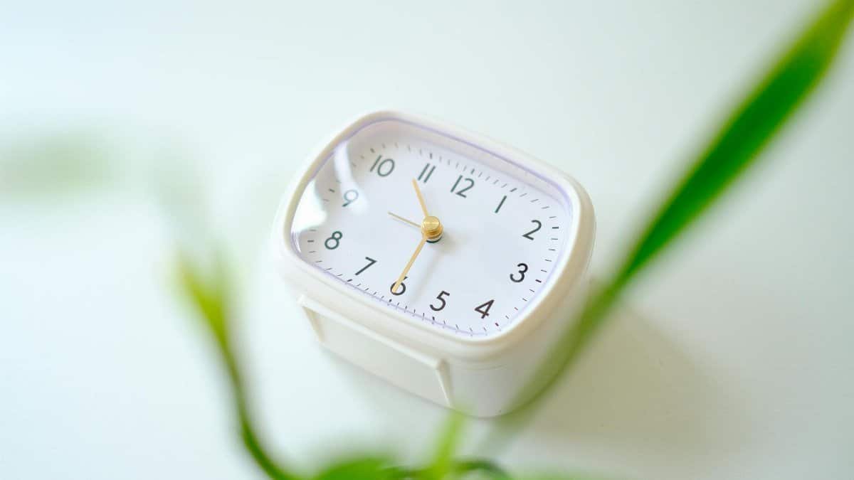 A minimalist white clock on a desk with blurred green leaves, creating a serene workspace vibe.