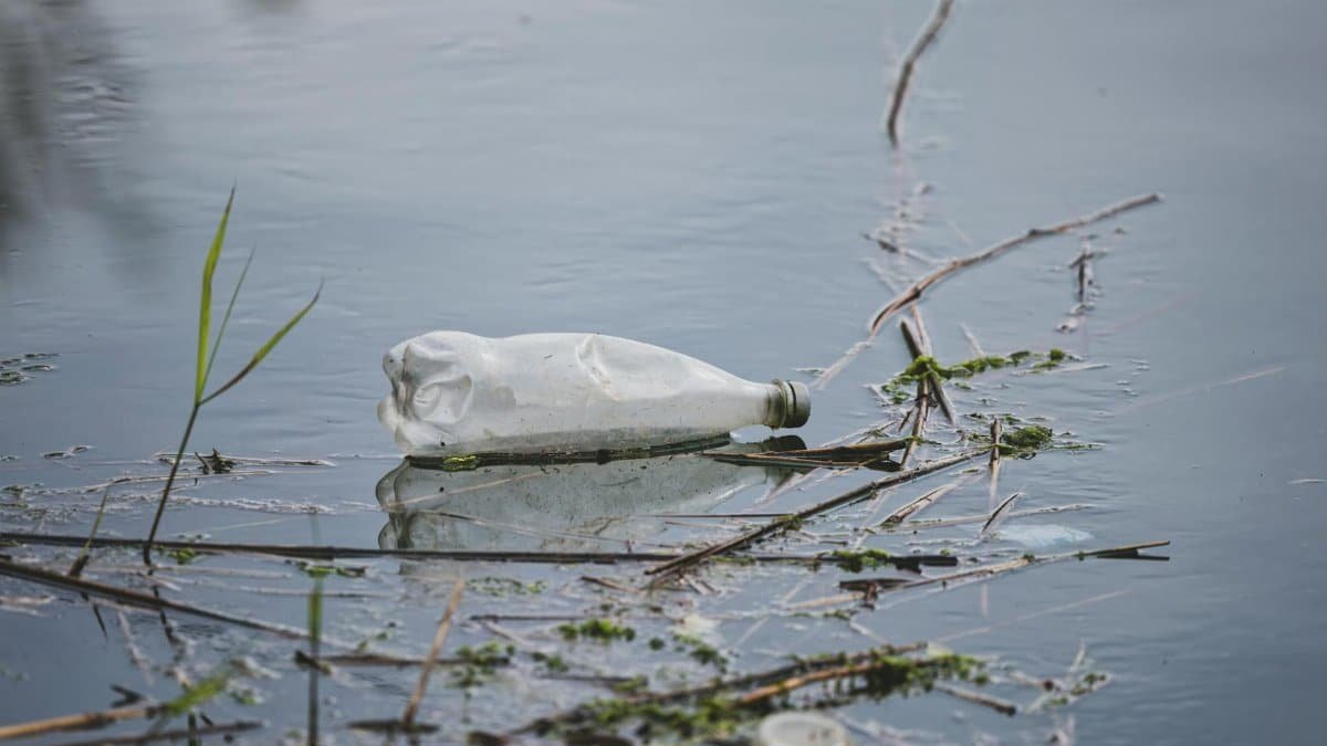A discarded plastic bottle floating in a polluted water body, highlighting environmental issues.