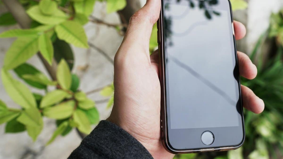 A hand holding a smartphone against a background of green leaves, capturing a modern lifestyle moment.