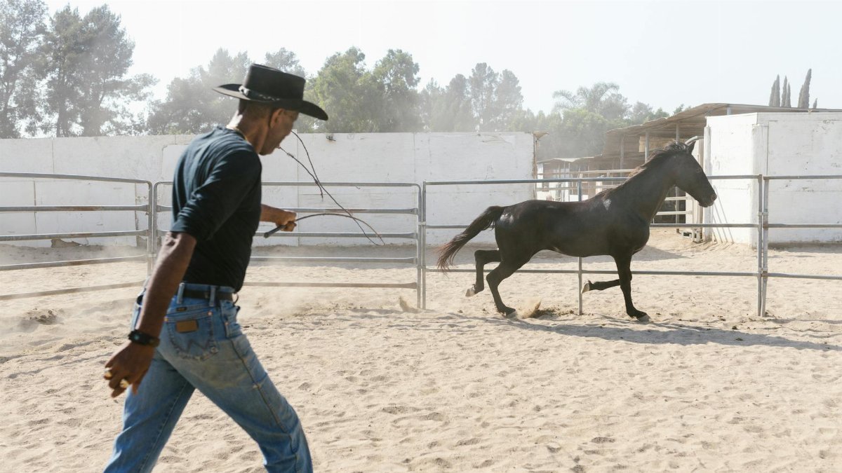 A cowboy in a hat training a horse in a paddock on a sunny day at a ranch.