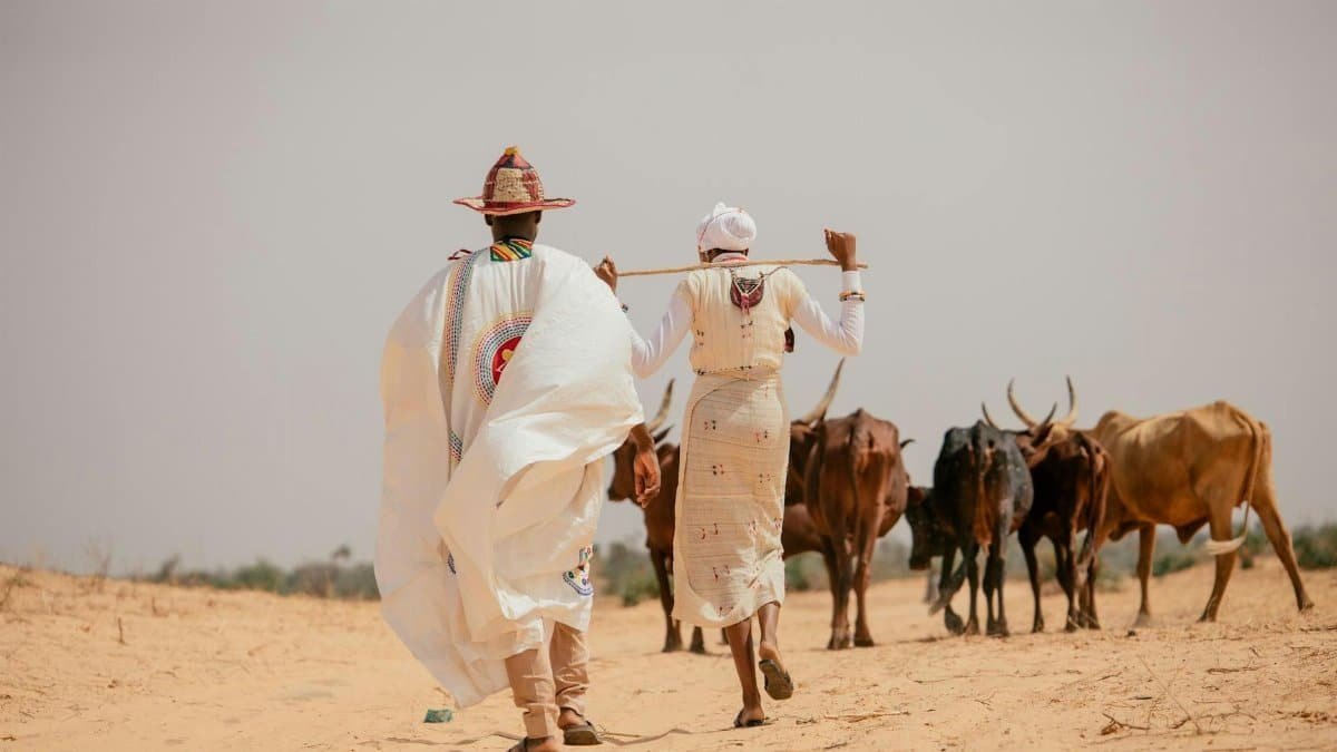 Two herders in traditional attire lead cattle through the Niger desert under a clear sky.