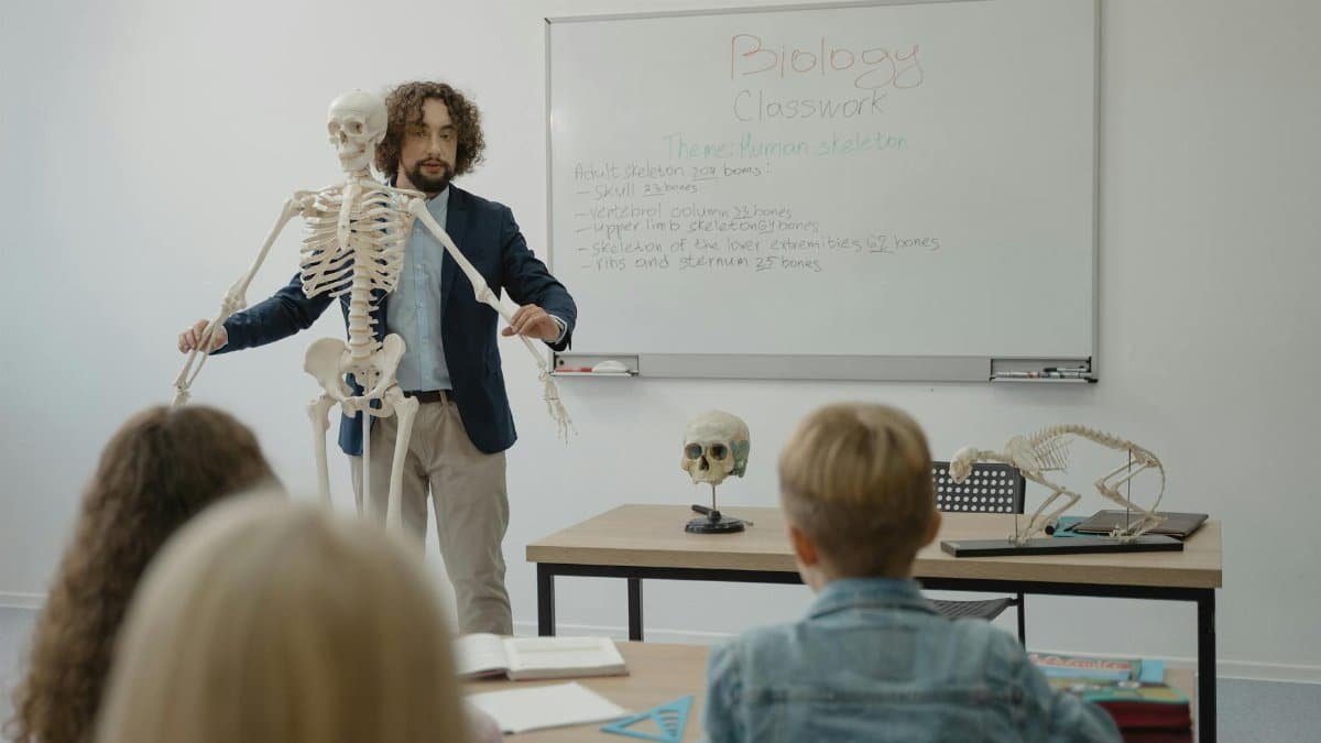 Teacher explaining human skeleton to students in a biology class with models.