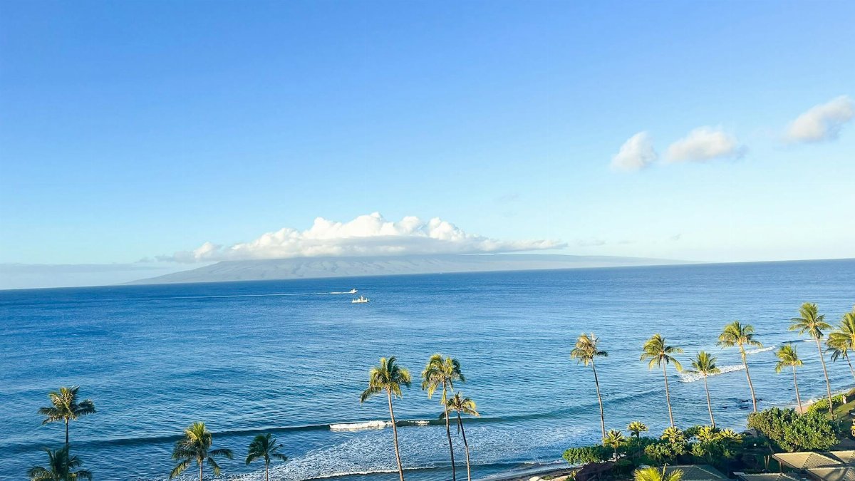 Aerial view of the lush Maui coastline with palm trees and clear blue waters.