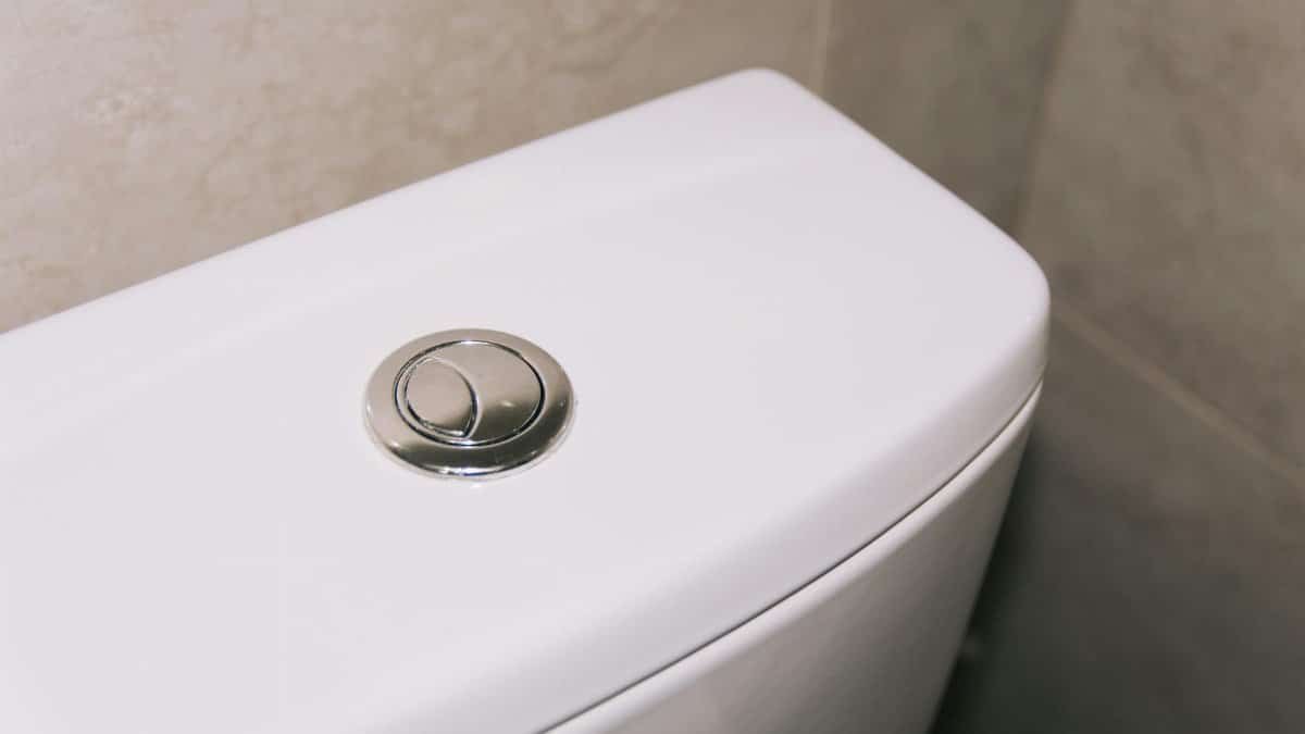 Close-up of a modern dual flush toilet with a chrome button, highlighting clean and contemporary design.