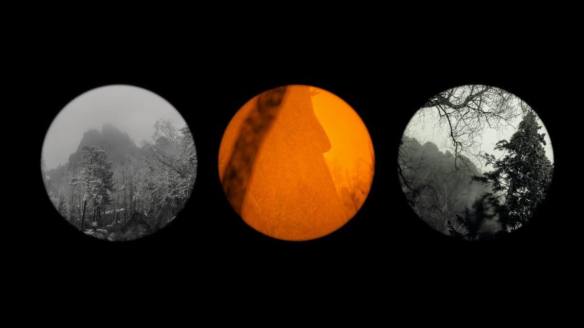 A creative landscape in three circular frames with black, white, and orange tones showcasing nature's elegance.