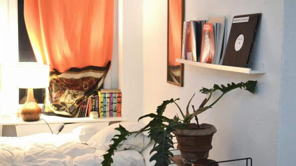 A snug bedroom featuring a plant, vinyl records, and vibrant curtain lighting.