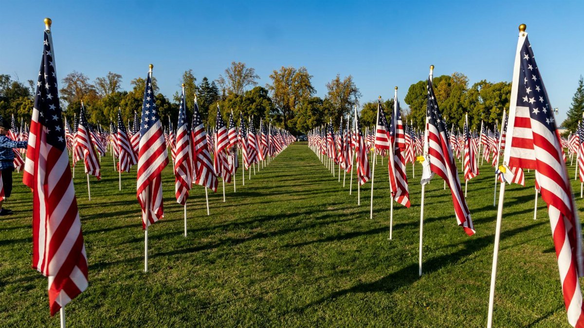 Vibrant field of American flags on display, honoring veterans and celebrating patriotism.