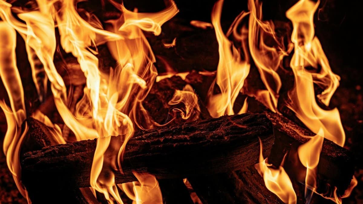 A detailed close-up of bright flames consuming wooden logs, showcasing the mesmerizing beauty of fire.