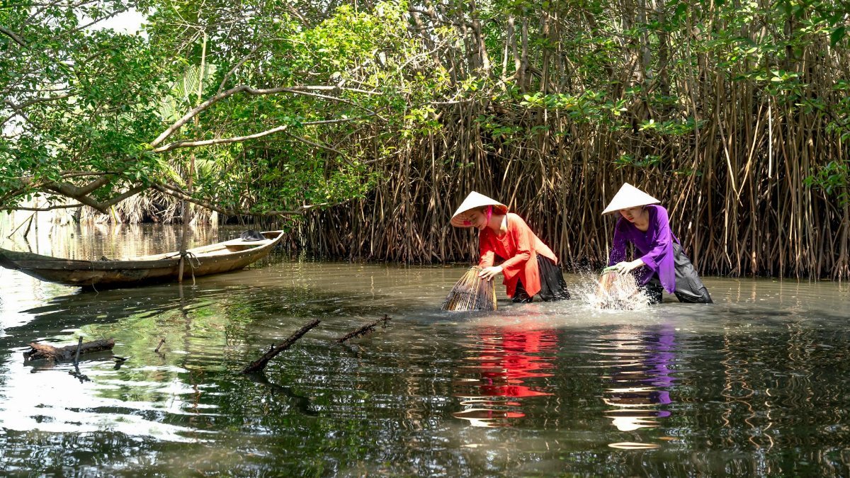 Two women in conical hats fish in a dense mangrove forest using traditional traps.