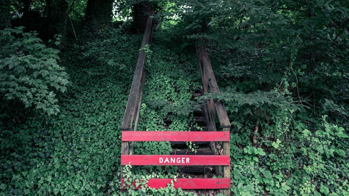 Abandoned wooden stairs enveloped by lush greenery with a bold red danger sign in Asheville, NC.