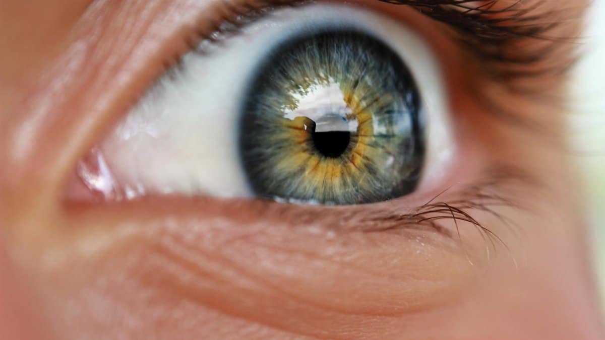Detailed macro shot of an eye with vivid colors and reflection.