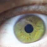 Extreme close-up of a green eye showing intricate iris patterns and eyelashes.