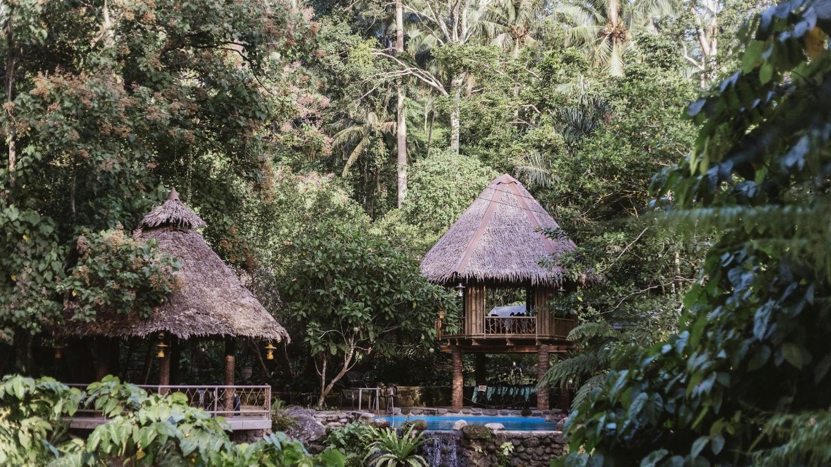 Secluded tropical villa with a pool nestled in a lush jungle setting, perfect for relaxation.