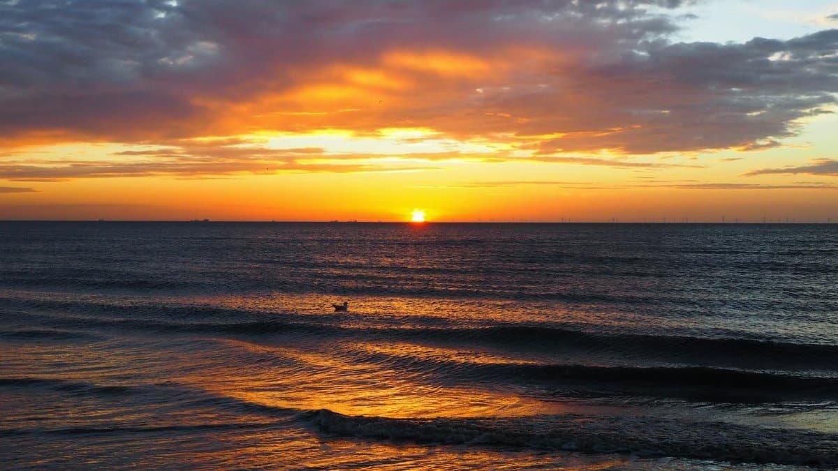 A beautiful sunset casts vibrant colors over tranquil ocean waves. Ideal for nature lovers.