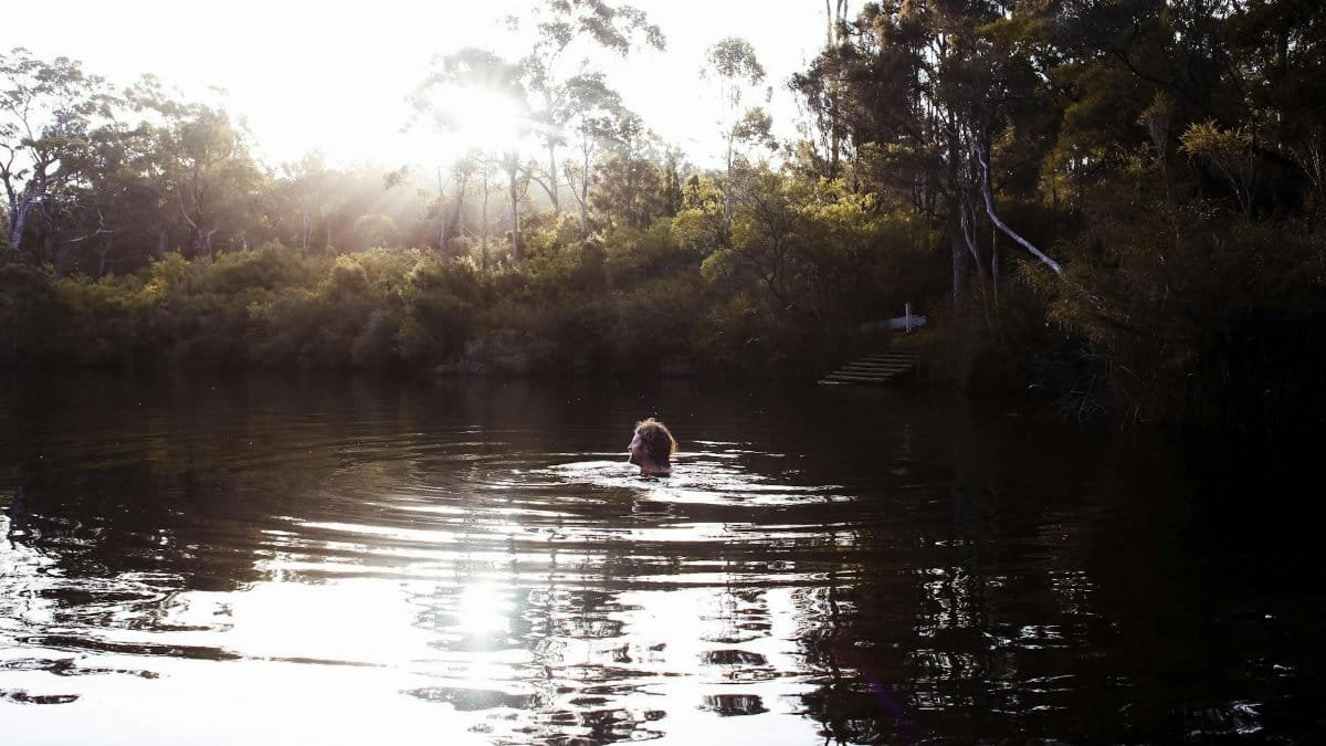 Person swimming in a tranquil forest lake during daylight, surrounded by nature.