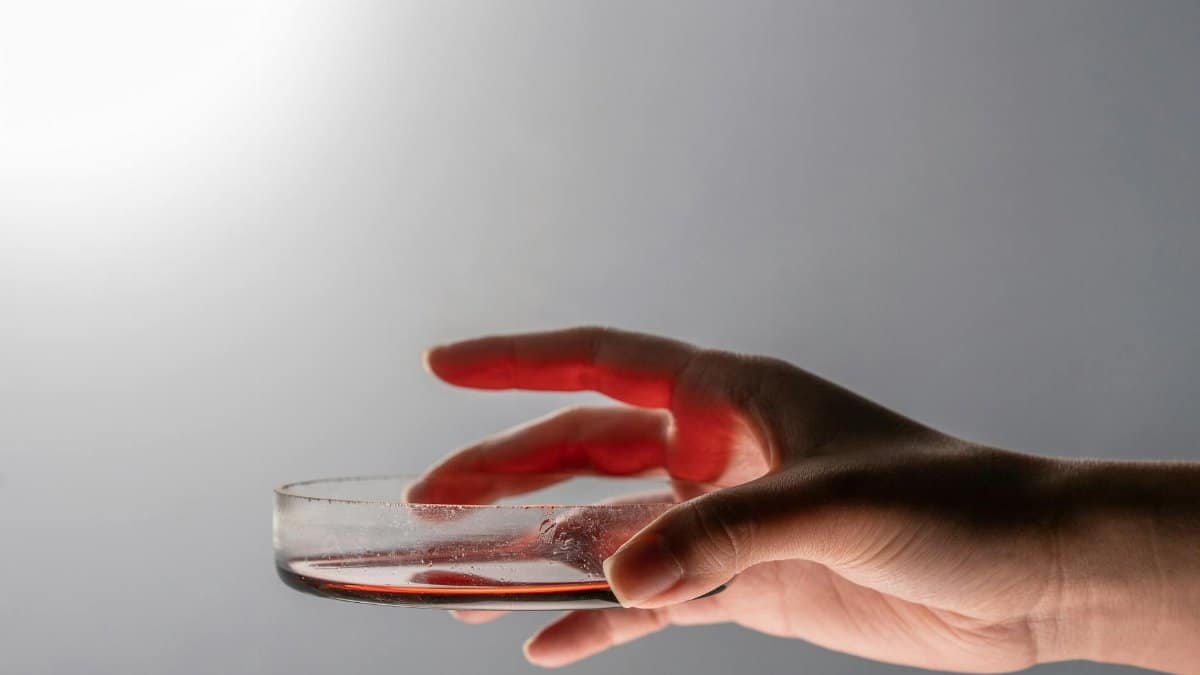 A hand carefully holds a petri dish containing a red liquid, against a gray background.