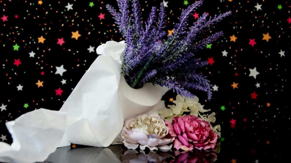 Artistic arrangement featuring vibrant flowers, stars, and toilet paper creating a unique still life.
