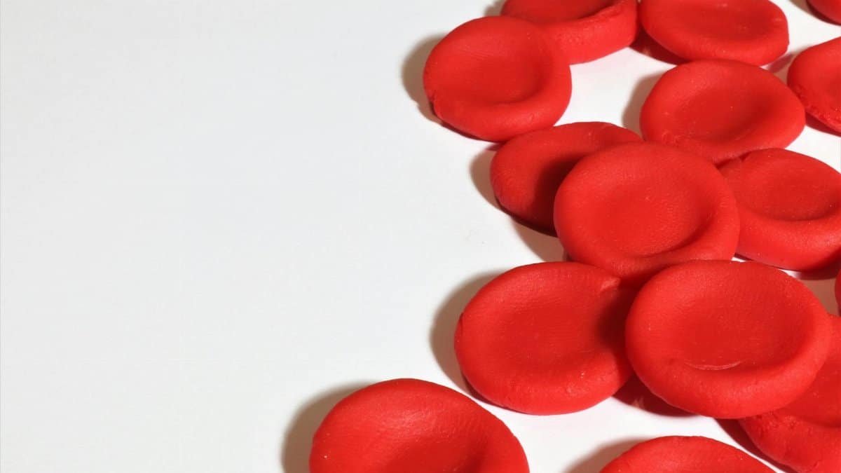 Artistic depiction of red blood cells on a white background, emphasizing medical concepts.