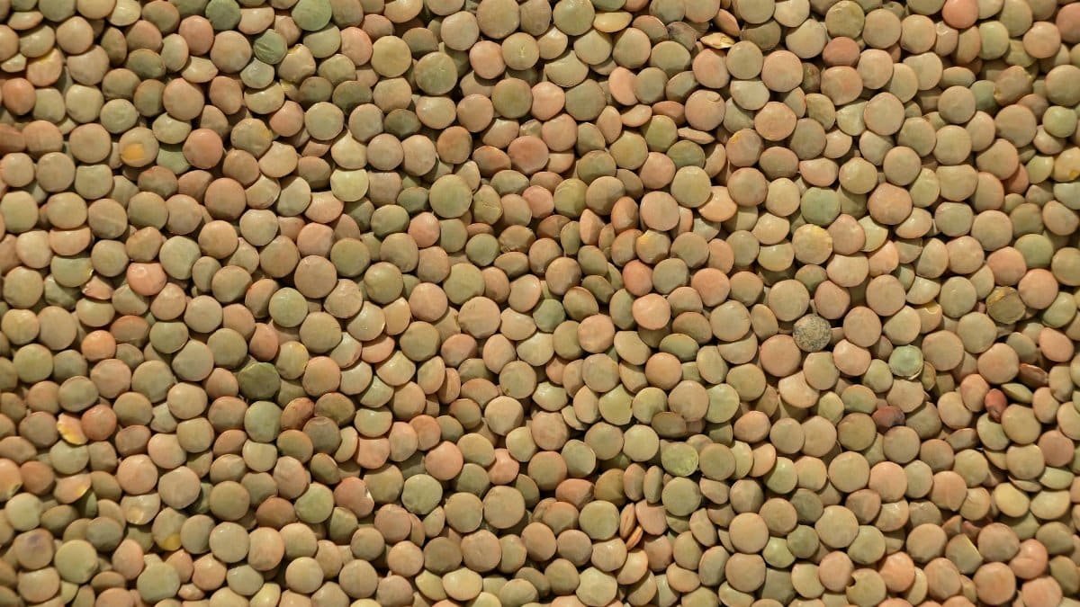 A detailed close-up of assorted lentils creating a textured pattern. Ideal for backgrounds and food themes.