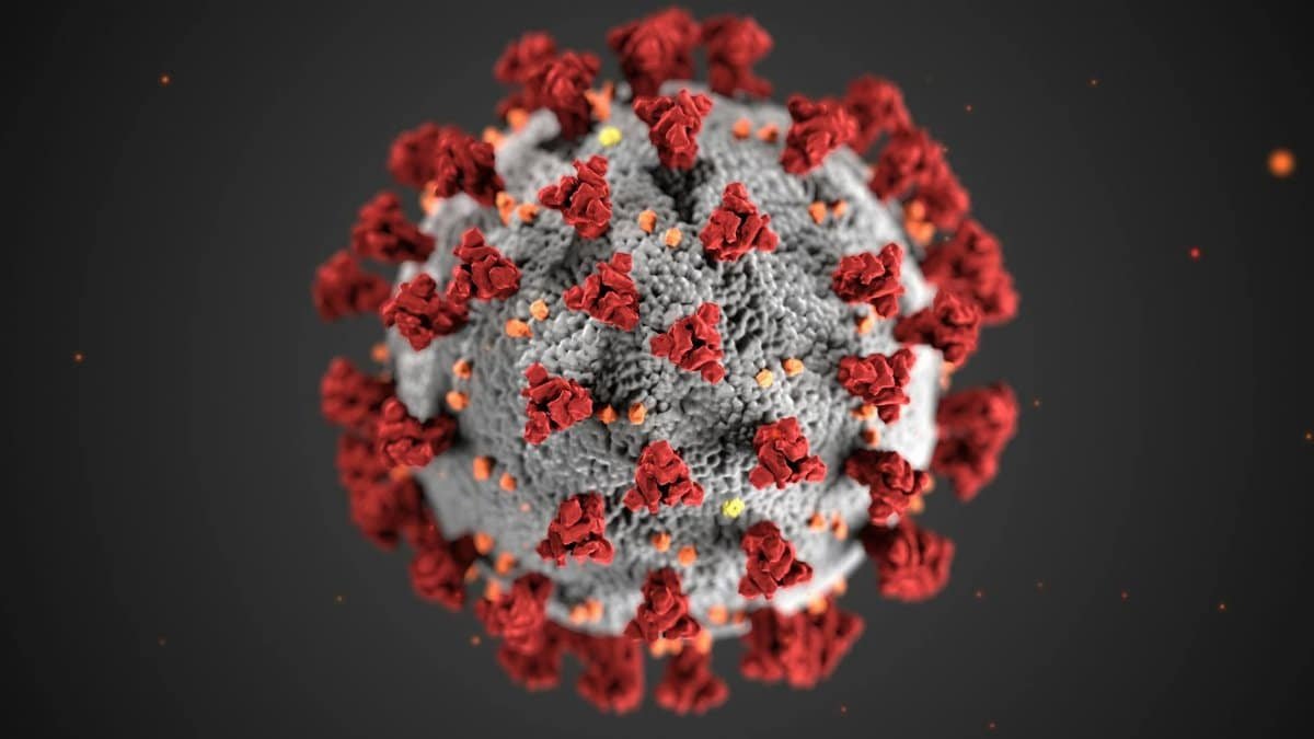 Detailed illustration of coronavirus structure with red spike proteins.