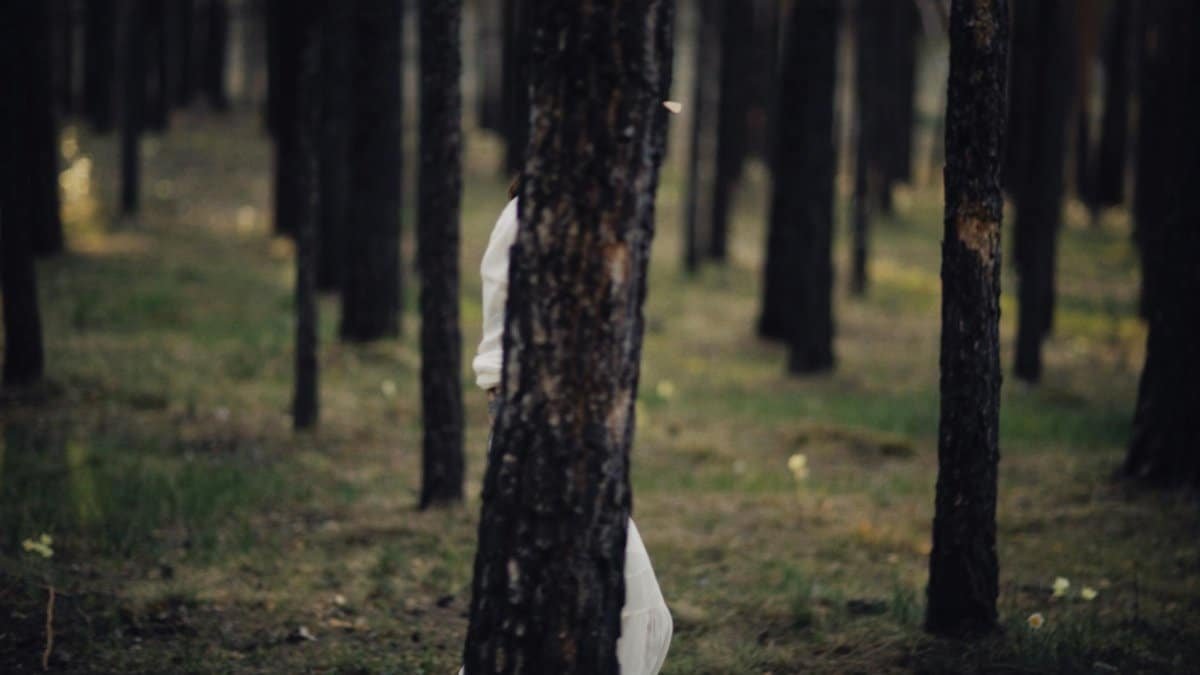 A mysterious figure partially hidden behind a tree in a dense forest, creating a sense of intrigue.