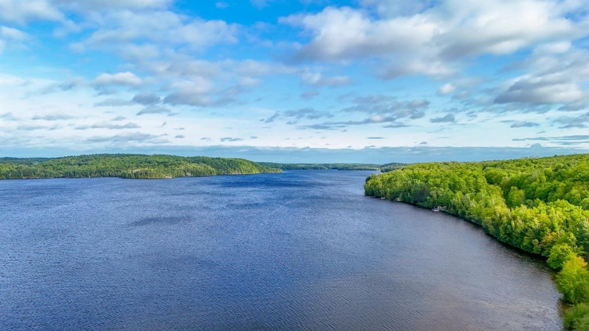 Breathtaking aerial view of a serene lake surrounded by lush green forest under a vibrant blue sky.
