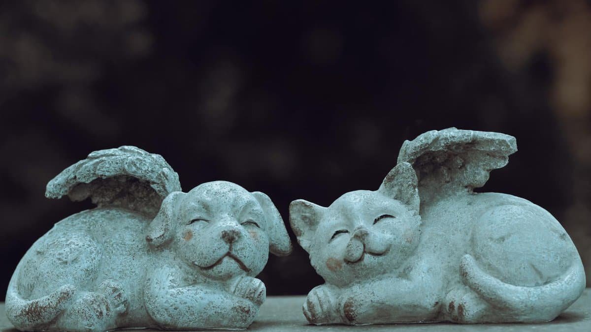 Stone cat and dog with wings add whimsical charm to any garden decor.