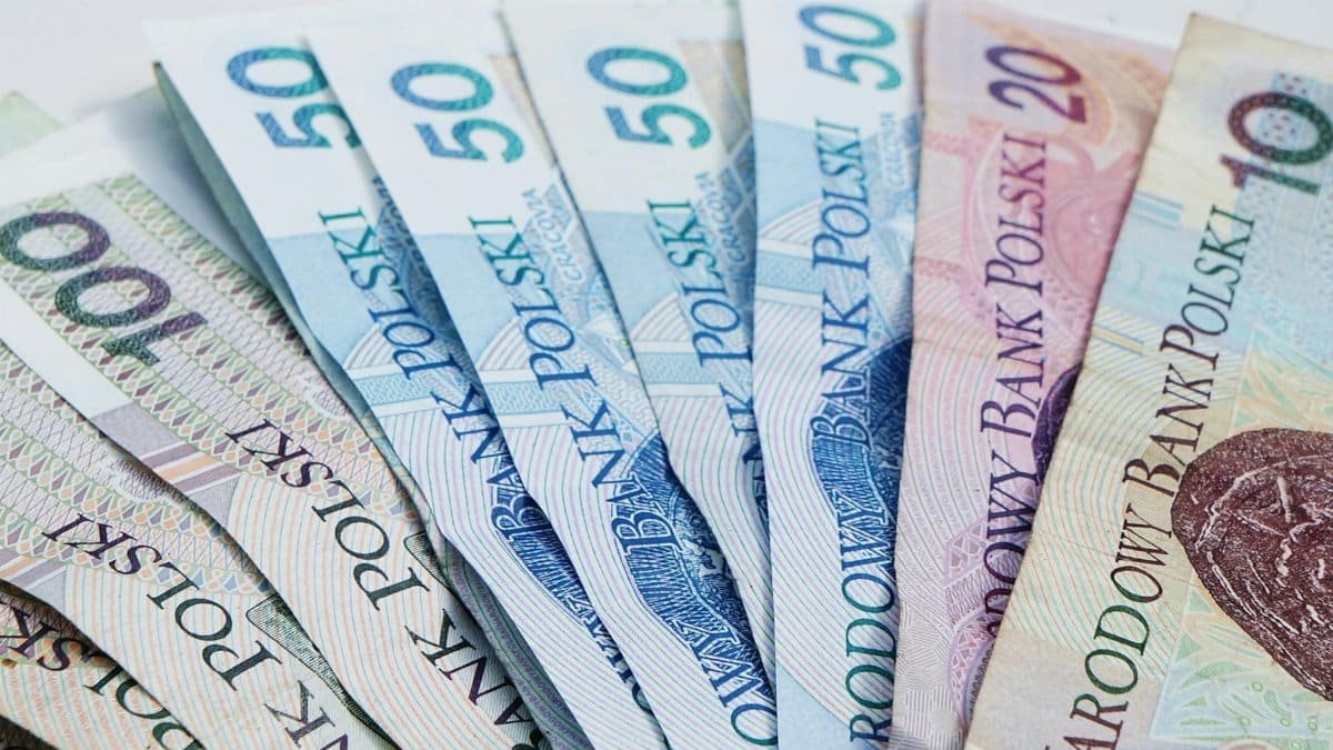A detailed view of Polish Zloty banknotes fanned out, showcasing currency design.