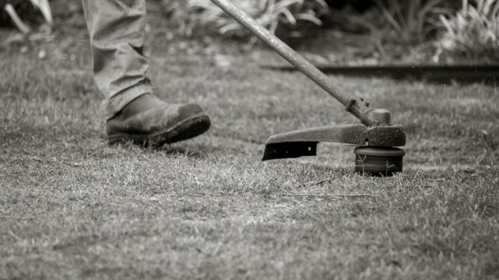 A worker uses a string trimmer to maintain a lawn, focusing on the grass edges outdoors.