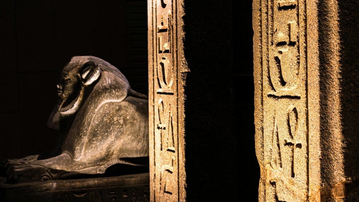 Close-up of an ancient Egyptian sphinx statue with hieroglyphics, illuminated in a museum setting.