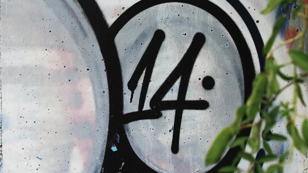 A detailed view of graffiti art featuring the number 14, with green leaves in the foreground.