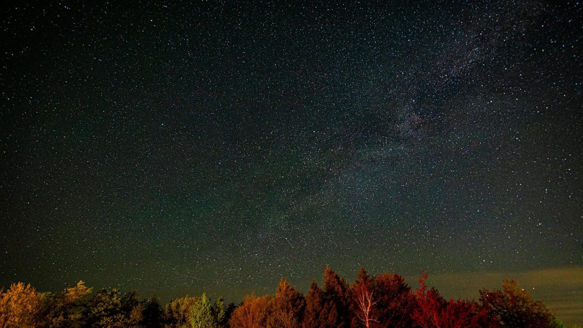 A captivating view of the star-filled night sky over a lush forest in Marlboro, Vermont.