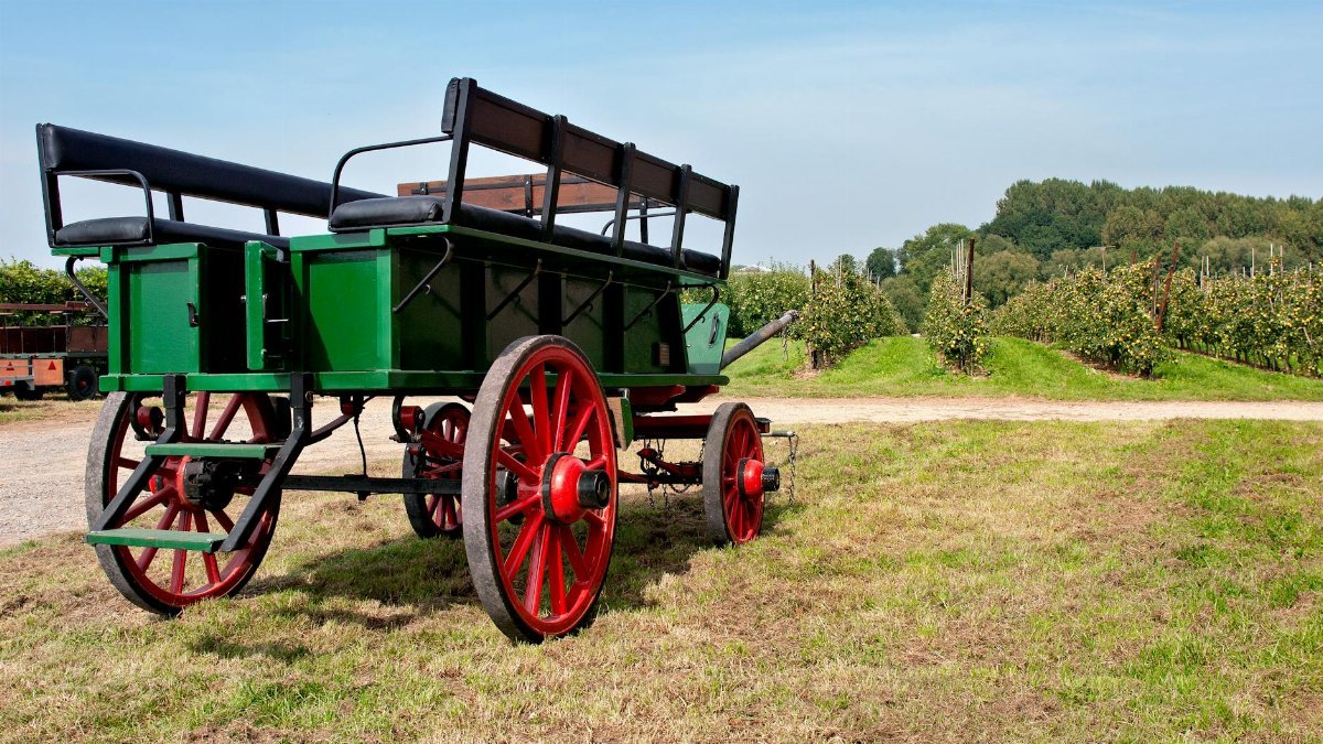 A traditional green wagon in an apple orchard under a clear blue sky, capturing rural charm.