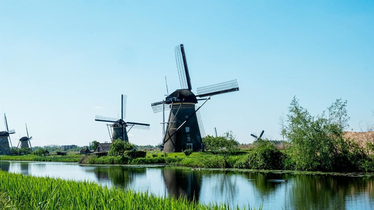 Iconic windmills at Kinderdijk reflect on a serene canal under a clear blue sky.