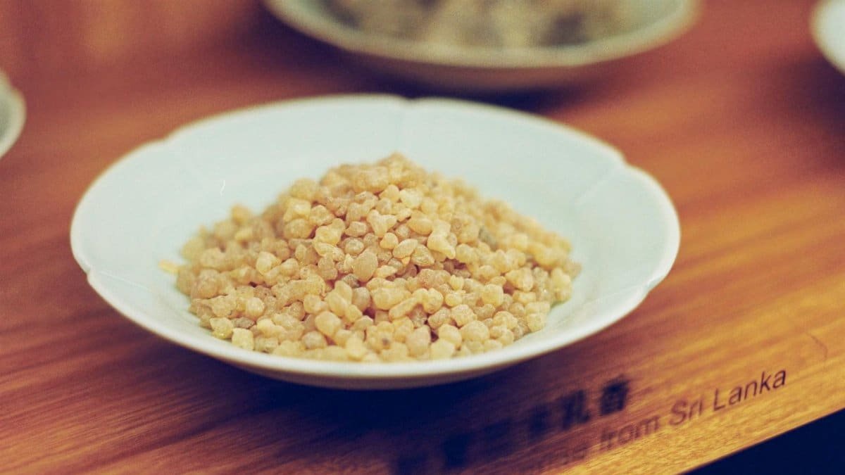 Close-up of natural frankincense resin from Sri Lanka in a white bowl on wooden surface.