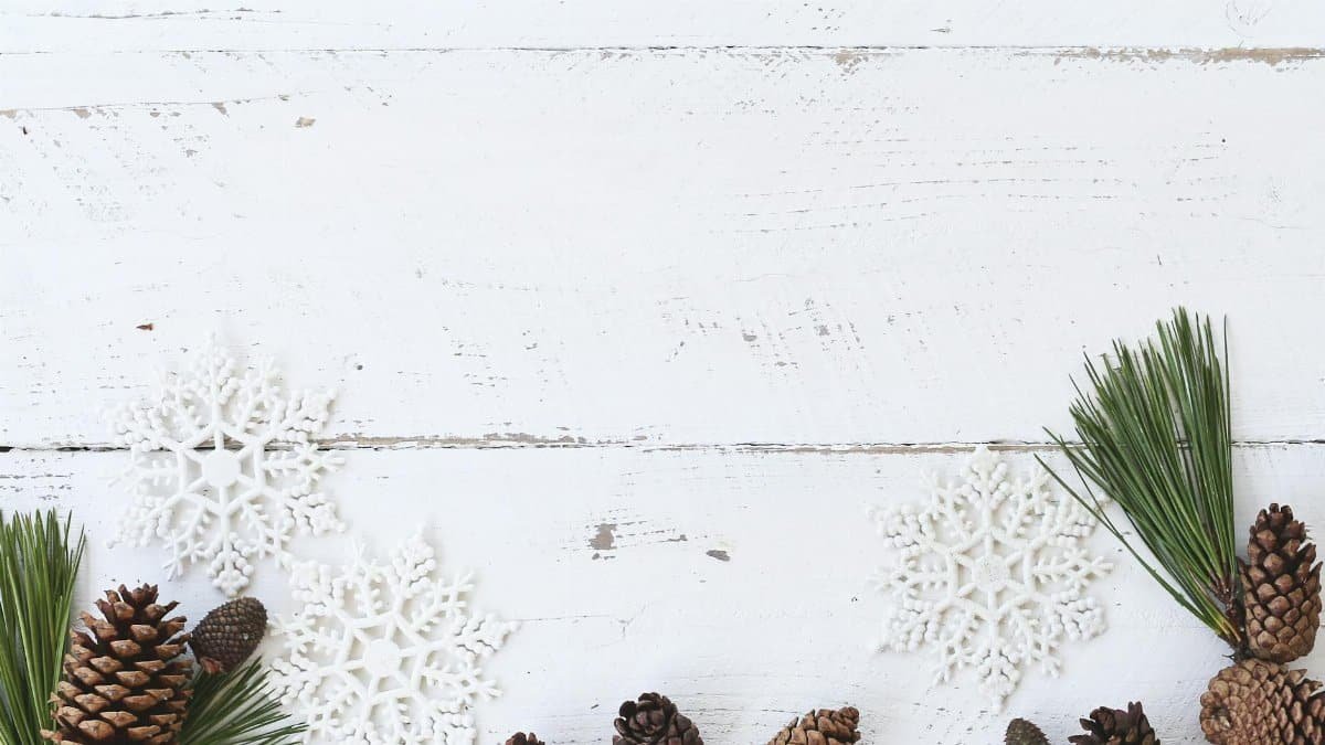 Simple holiday arrangement with snowflakes and pine cones on a white wooden background.