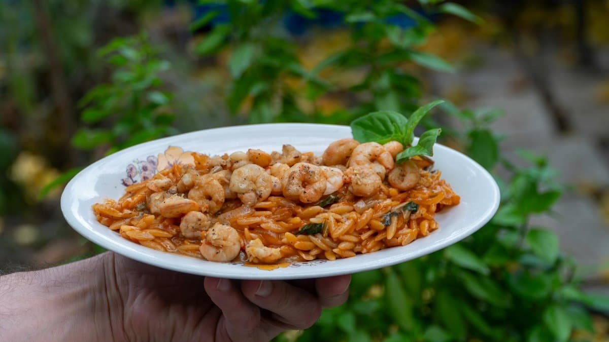 A mouth-watering shrimp orzo dish served on a white plate, held in a Greek garden.