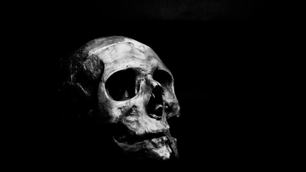 Moody black and white photo of a skull on a dark background.