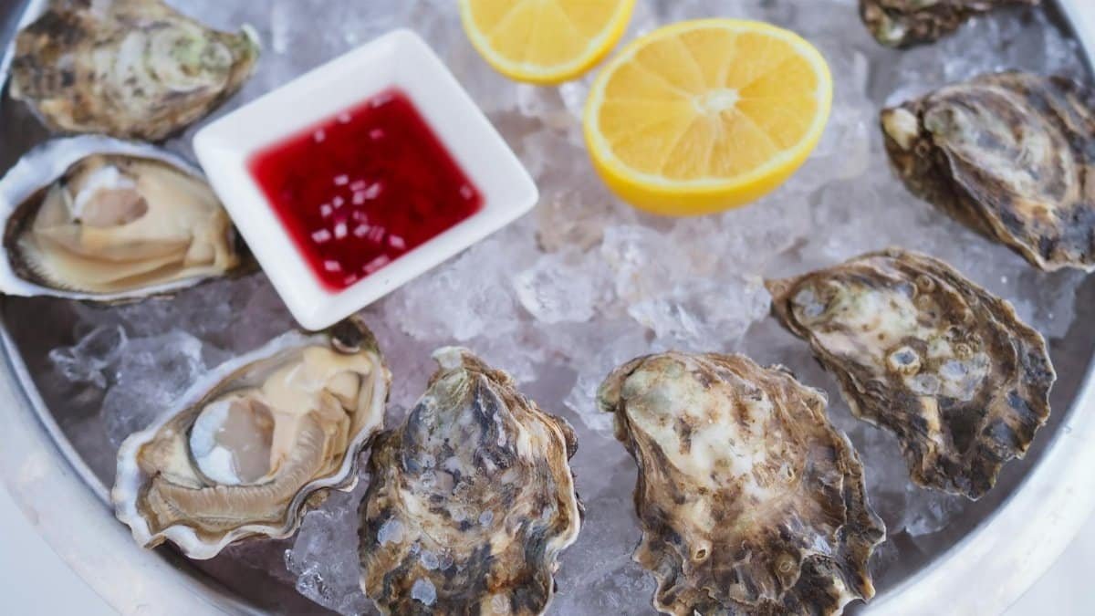 A tantalizing display of raw oysters on ice with lemon slices and red cocktail sauce.