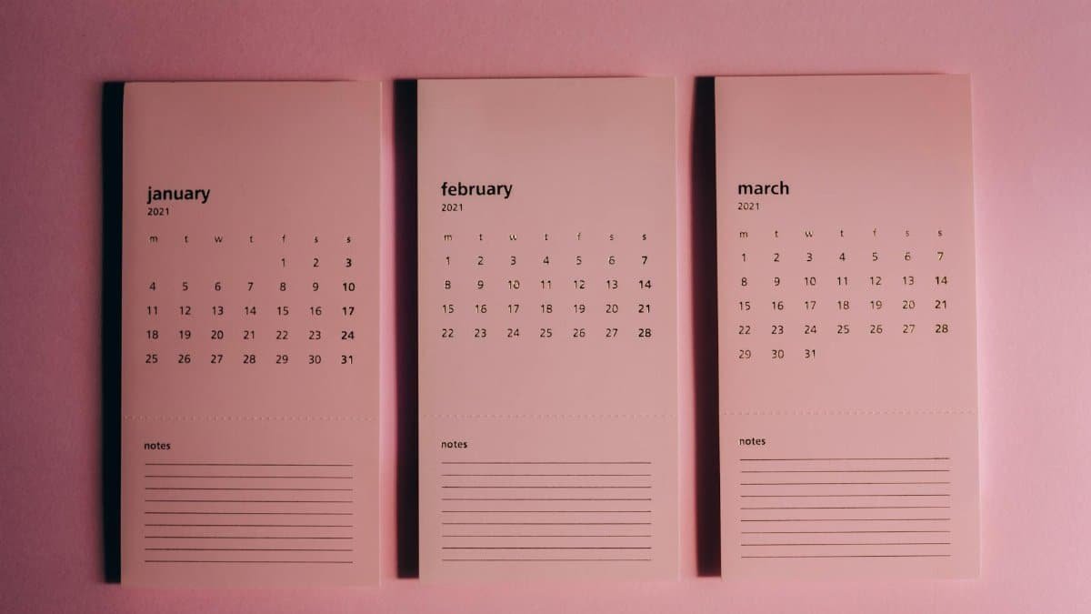 Stylish pink calendar featuring months of January, February, and March 2021 in a minimalist design.