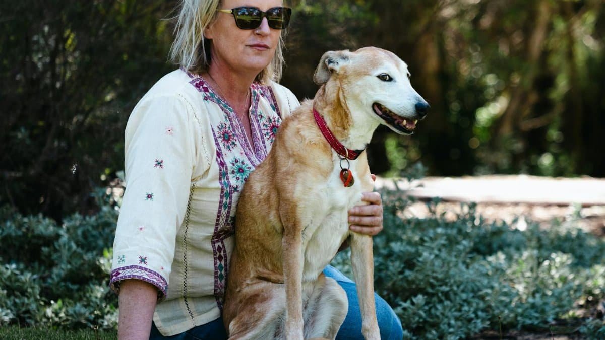 Free stock photo of 2026, 2026 wallpaper, 4k