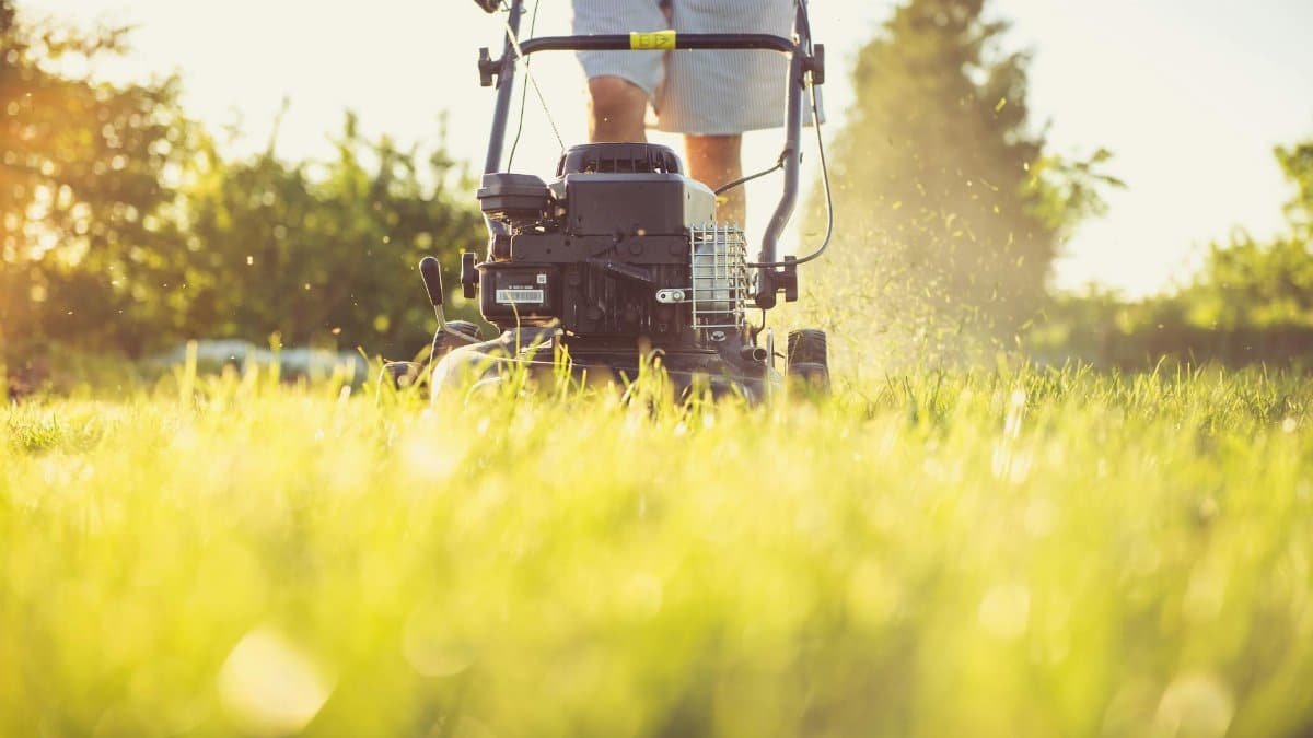 Close-up of a person mowing the lawn with a gas lawn mower on a sunny summer day.